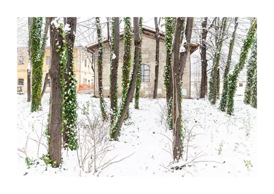 15 "Resilienza" author's print by Gerard Gazia