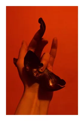 04 "Cipollineo IV" author's print by Lavinia Prota